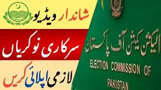 ECP Jobs 2025 | Data Entry Operator Jobs | Eligibility Criteria | Last Date