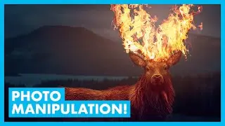 Flaming Elk Photo Manipulation in Photoshop