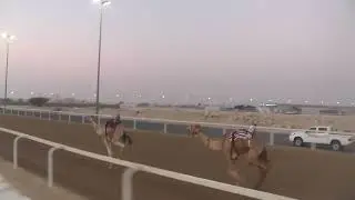 ش ٣ بكار حقايق 3 ك متر/الشاهينية /حمد المري/4:42:04