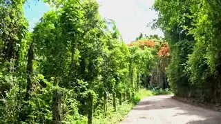 Barbados Scenic Road Trip