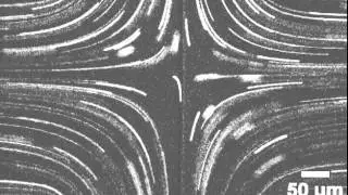 Hydrodynamic Trap - Planar extensional flow with hyperbolic streamlines
