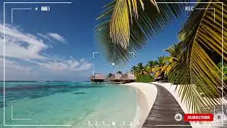 🕶️ Rock con Actitud | Canciones que No Pueden Faltar en tu Vida
