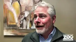 Baby elephant birth at the Rosamond Gifford Zoo 2019