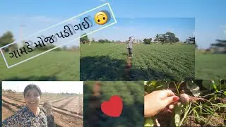 ગામડે મોજ પડી ગઈ 😊❤🙈|ખેતર ની મોજ | VILLAGE VLOG 