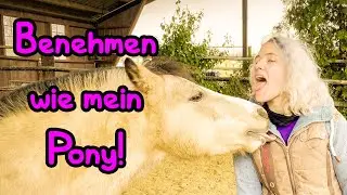 Ich BENEHME mich wie mein PONY 🦄 Quatsch zum Jahresabschluss