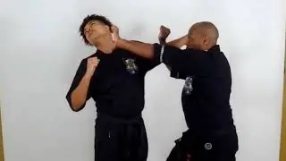 08 Shielding Hammer - Self defence against a left round punch.