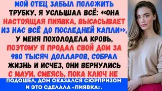 Отец забыл положить трубку. Я слышал каждое слово: «Она пиявка». Я промолчал. Продал свой дом за 980