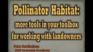 BBHF & MN SWCD - Webinar on Pollinator Habitat