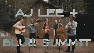 AJ Lee & Blue Summit - 