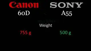 Canon 60D vs Sony A55 - which is better?