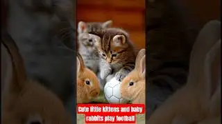 Cute little kittens and baby rabbits play football 😺🏈 #shorts #viral #football #ronaldo #cat #bunny