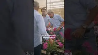 Lazzeri Brazilian Gen&eacute;tics - Qualidade