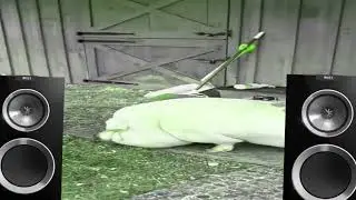 WYCZEKIWANA WERSJA BASS BOSTED UWAGA ROZWALA GLOSNIKI