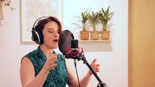 Domi Karowicz - On Hold