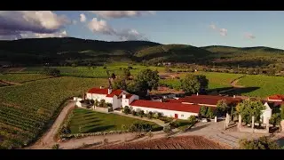 Quinta da Fonte Souto | Symington Family Estates