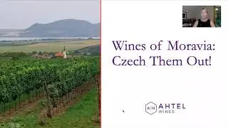 Czech Out Wines of Moravia: About the Region