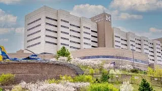 University of Michigan Health stops prescribing gender affirming hormones for patients under 19