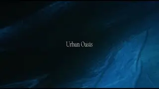 Urban Oasis