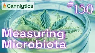 Measuring Microbiota | Cannabis Data Science #150