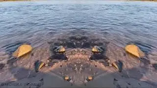 Bad Godesberg Rheinufer &ndash; Rhine beach &ndash; Rhein Strand &ndash; Videoart &ndash; naturesounds
