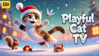 Playful Cat TV – Cat Games That Keep Cats Active, Agile and Joyful All Day