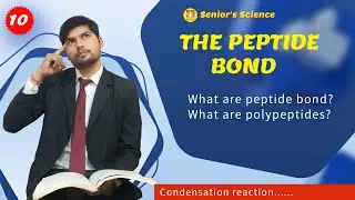The Peptide Bond || Structure || Resonance || Cis and Trans || #seniorsscience 
