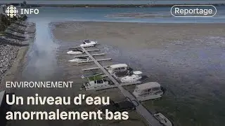 Le fleuve Saint-Laurent, dont le niveau est au plus bas, sera abreuv&eacute; par le lac Ontario