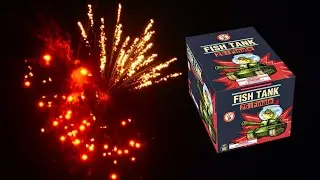 Fish Tank  - Winda Fireworks