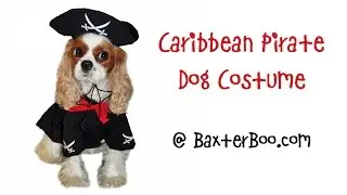 Caribbean Pirate Dog Costume