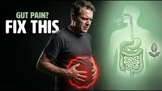 SynoGut Review 2026 &mdash; Does This Gut Health Supplement Really Work?