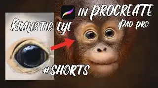 #Shorts 🤩Realistic eye for baby monkey - drawing in Procreate on iPad Pro! Digital art! #Shorts