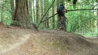 Transition Relay - Agility Test