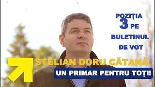 O VIZIUNE NOUĂ despre Reghin | Stelian Doru Cătană