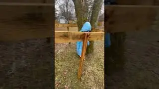 Zip line #backyardvibes #ziplining #fun #family #build #carpentry #project #deck #fort #treefort