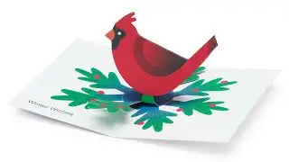 Festive Cardinal Holiday Pop-Up Cards - Set of 8 | MoMA Design Store