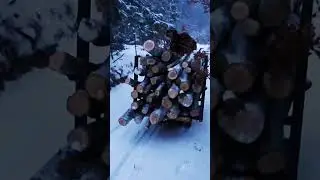 #forest Lumag MD500 forest contruction #stihl #chainsaw #winter