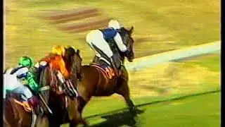 1985 Australian Derby & CB Cox Stakes
