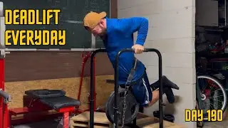 Deadlift Everyday Day 190: Does the dip have direct carryover to the bench press?
