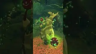 What's The Most Annoying NPC in Botw? #shorts
