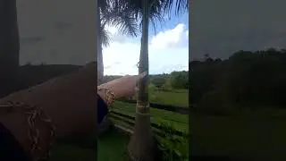 Aldeia - Fazenda/Haras. Acesse o insta @barzaimoveisaldeia