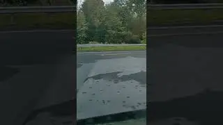 rain advisory
