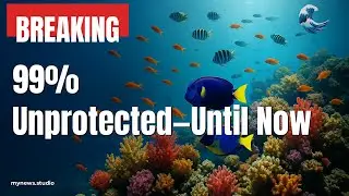 Global Treaty Protects Oceans: Marine Life Gets Lifeline