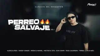MIX REGGAETON VIEJA ESCUELA🔥OLD SCHOOL 2025 (Perreo Salvaje) DJ MENDES Full Bellakeo Retro ABRIL