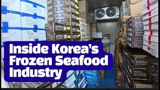Inside Korea&rsquo;s Frozen Seafood Distribution | Cold Storage Inspection & Business Prep