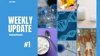 Weekly Update | 1