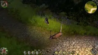 Sacred 2 Gold - Fallen Angel - [Mod Version] - 59