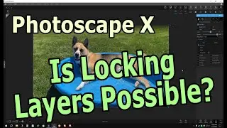Is locking layers possible? | Photoscape X