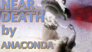 Giant Boa Constrictor Snake Tries to Kill Two Men
