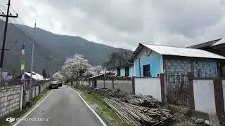 #morshing #shergaon #traveling #travelvlog #trending #trendingshorts