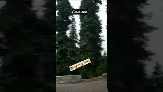 Whispering Pinez #kpk #mountains #valley #viral